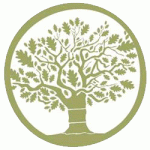 The Balfron Oak