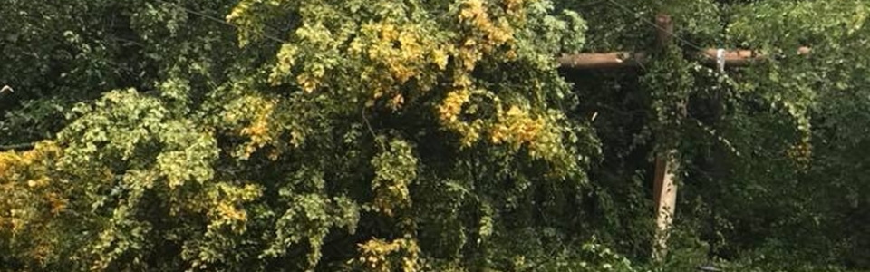 Storm damage Sept 19 exp